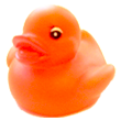 duck.png