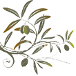 olives.png