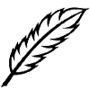 quill.png