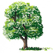 tree.png